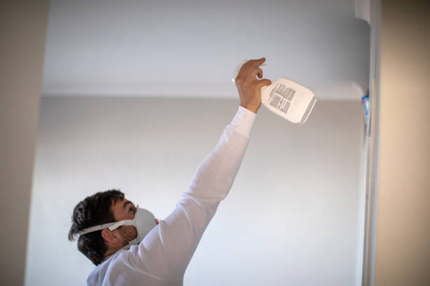Best DIY Mold Remediation Support Services in Bellair Meadowbrook Terrace, FL