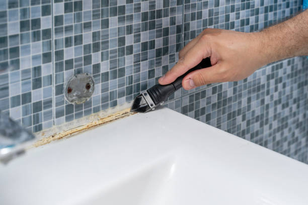 Best Insurance-Related Mold Remediation in Bellair Meadowbrook Terrace, FL